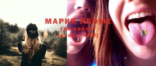 МДПВ Ельня