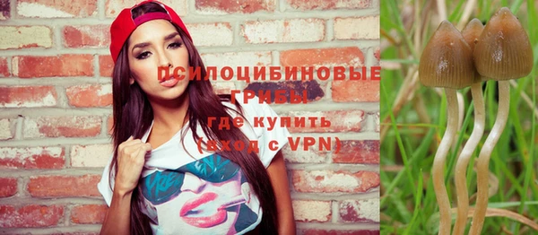 МДПВ Ельня