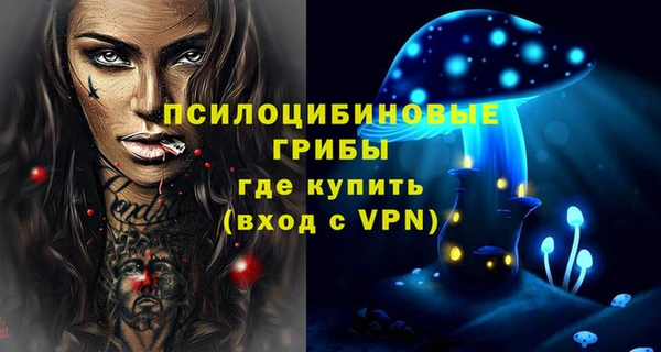 МДПВ Ельня
