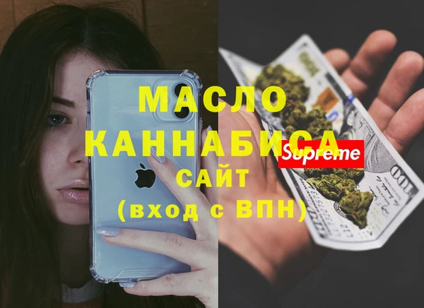 тгк Дмитриев