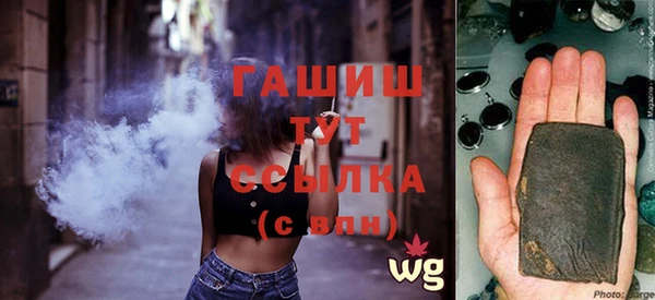 МДПВ Ельня