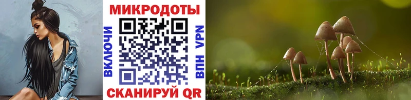 Купить закладки Канск Галлюциногенные грибы мицелий